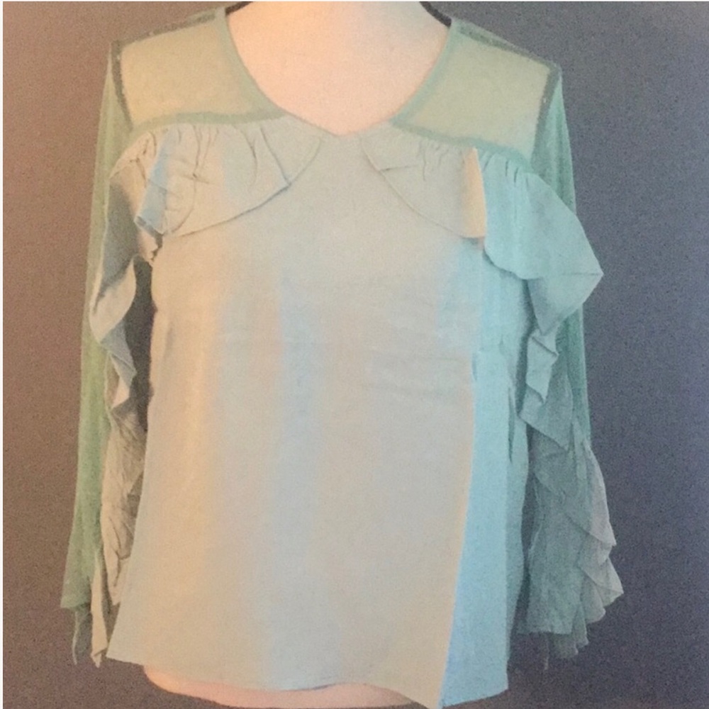 ❌DONATED❌Sage Green Mesh Swiss Dot Ruffle Detail Top - Picture 5 of 9